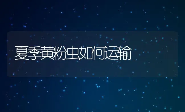 防治长毛兔拔毛综合症 | 水产养殖知识