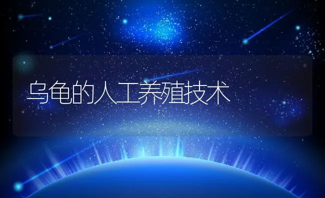 乌龟的人工养殖技术 | 动物养殖学堂