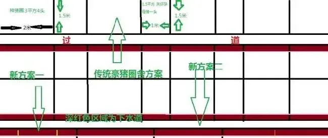 豪猪养殖池建造及其要点