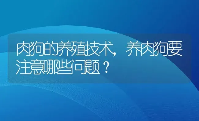 肉狗的养殖技术，养肉狗要注意哪些问题？ | 动物养殖百科