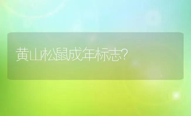 黄山松鼠成年标志？ | 动物养殖问答