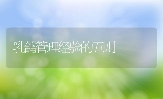 乳鸽管理经验的五则 | 动物养殖学堂