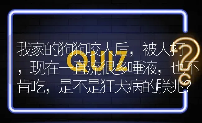 我家的狗狗咬人后，被人打，现在一直流很多唾液，也不肯吃，是不是狂犬病的朕兆？ | 动物养殖问答