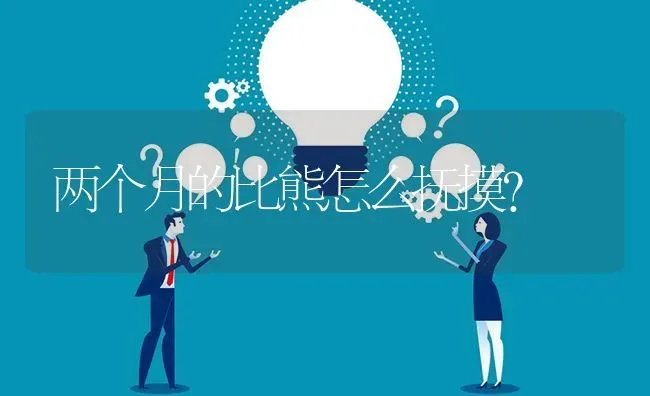 两个月的比熊怎么抚摸？ | 动物养殖问答