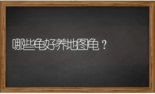 比熊为什么智商低？ | 动物养殖问答