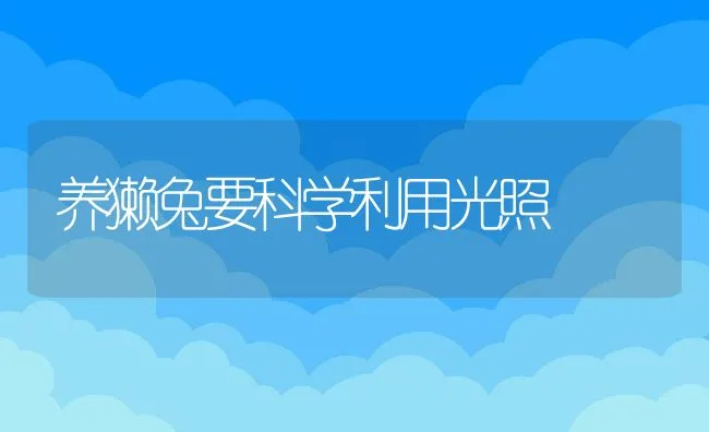 养獭兔要科学利用光照 | 动物养殖饲料