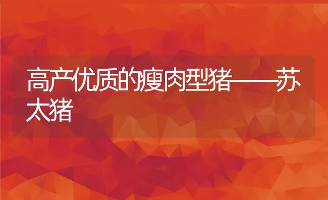 高产优质的瘦肉型猪——苏太猪 | 动物养殖饲料