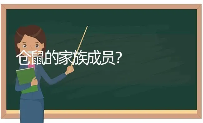 仓鼠的家族成员？ | 动物养殖问答