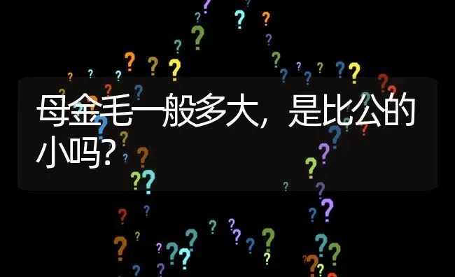 母金毛一般多大，是比公的小吗？ | 动物养殖问答