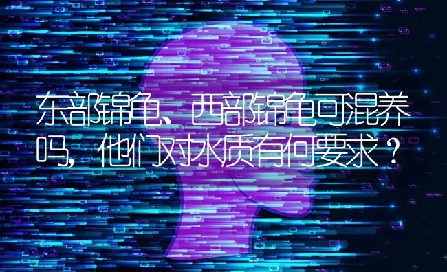 东部锦龟、西部锦龟可混养吗，他们对水质有何要求？ | 动物养殖问答