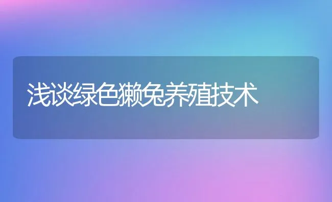 浅谈绿色獭兔养殖技术 | 动物养殖饲料