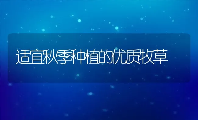 新法养殖泥鳅技术要领 | 动物养殖饲料