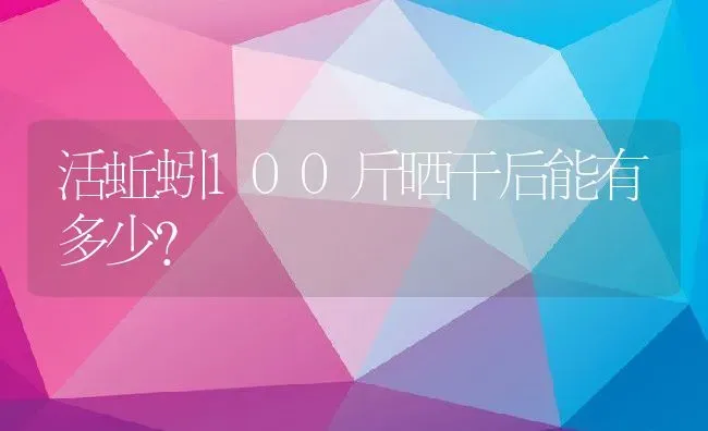 活蚯蚓100斤晒干后能有多少？ | 动物养殖百科