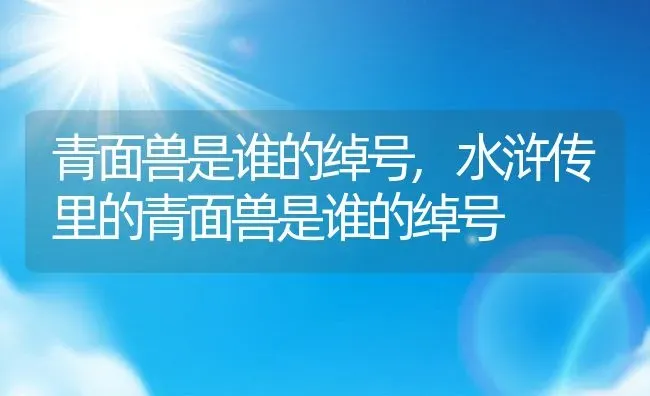 青面兽是谁的绰号,水浒传里的青面兽是谁的绰号 | 宠物百科知识