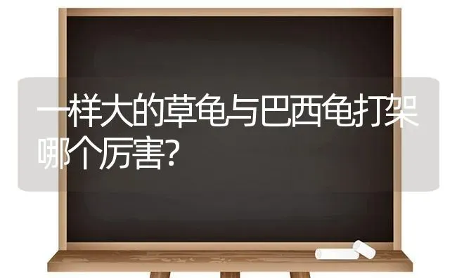 一样大的草龟与巴西龟打架哪个厉害？ | 动物养殖问答