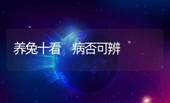 养兔十看 病否可辨 | 动物养殖学堂