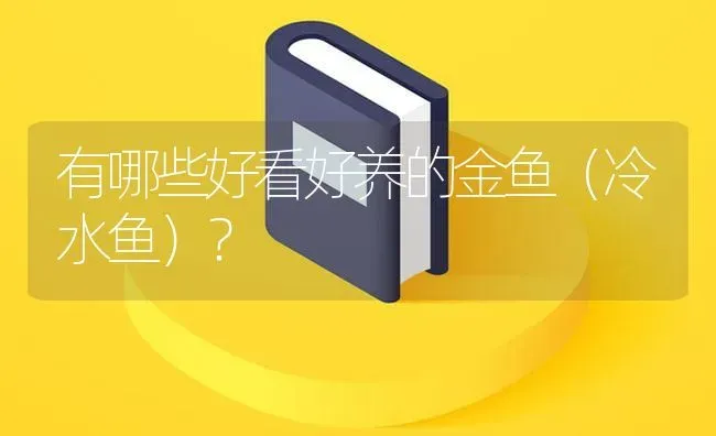 有哪些好看好养的金鱼（冷水鱼）？ | 鱼类宠物饲养