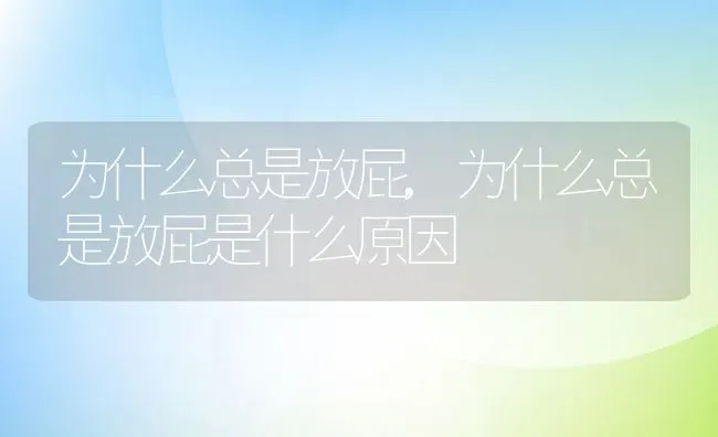 为什么总是放屁,为什么总是放屁是什么原因 | 宠物百科知识