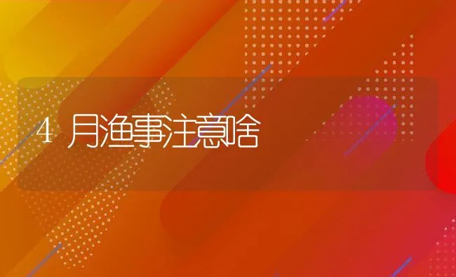 4月渔事注意啥 | 动物养殖饲料