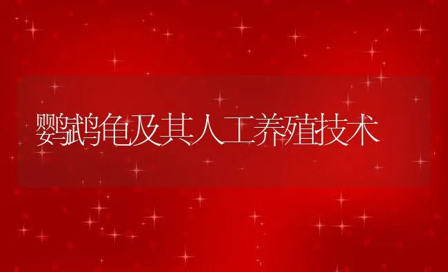 鹦鹉龟及其人工养殖技术 | 水产养殖知识