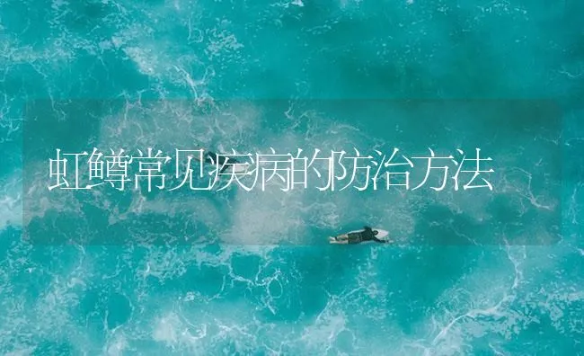 虹鳟常见疾病的防治方法 | 海水养殖技术