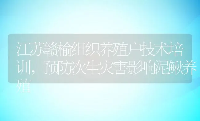 江苏赣榆组织养殖户技术培训，预防次生灾害影响泥鳅养殖 | 动物养殖饲料