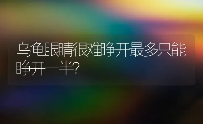 乌龟眼睛很难睁开最多只能睁开一半？ | 动物养殖问答