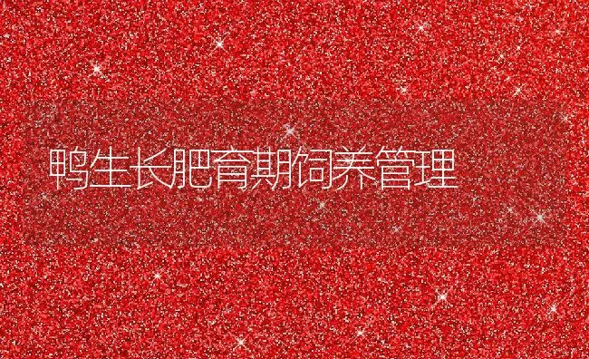 鸭生长肥育期饲养管理 | 动物养殖饲料
