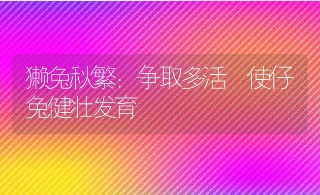 獭兔秋繁：争取多活 使仔兔健壮发育 | 动物养殖学堂