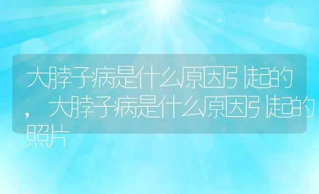 大脖子病是什么原因引起的,大脖子病是什么原因引起的照片 | 宠物百科知识