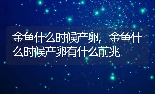 金鱼什么时候产卵,金鱼什么时候产卵有什么前兆 | 宠物百科知识