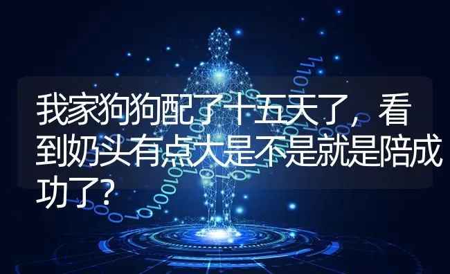 我家狗狗配了十五天了，看到奶头有点大是不是就是陪成功了？ | 动物养殖问答