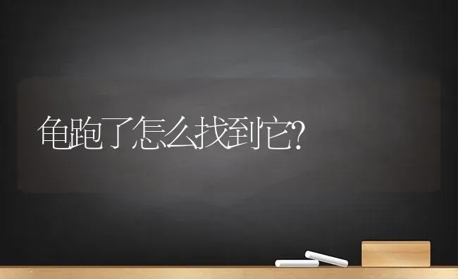 龟跑了怎么找到它？ | 动物养殖问答