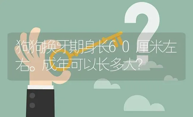 狗狗换牙期身长60厘米左右。成年可以长多大？ | 动物养殖问答