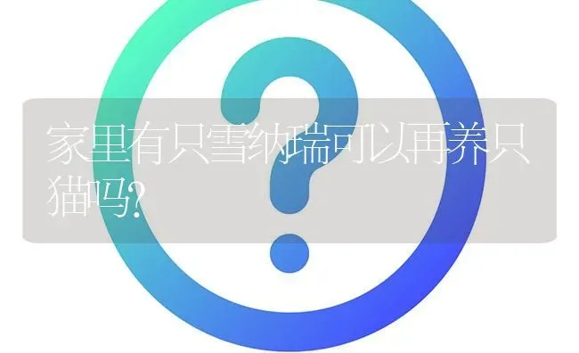 家里有只雪纳瑞可以再养只猫吗？ | 动物养殖问答