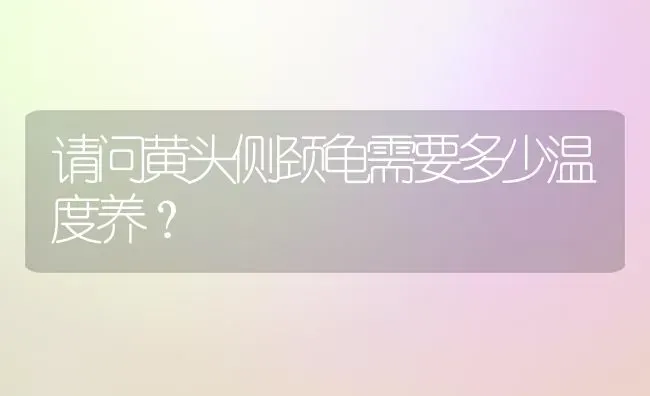 请问黄头侧颈龟需要多少温度养？ | 动物养殖问答