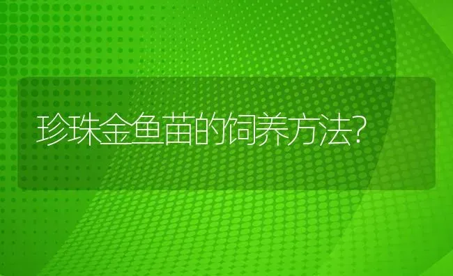 珍珠金鱼苗的饲养方法？ | 鱼类宠物饲养