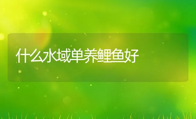 什么水域单养鲤鱼好 | 动物养殖饲料