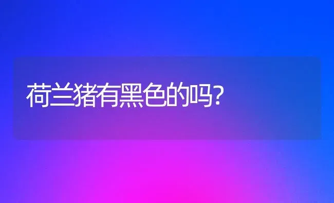 主角是圣伯纳犬的电视剧？ | 动物养殖问答