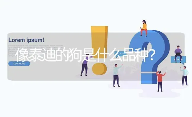 像泰迪的狗是什么品种？ | 动物养殖问答