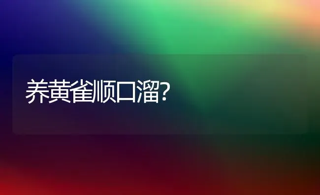 养黄雀顺口溜？ | 动物养殖问答