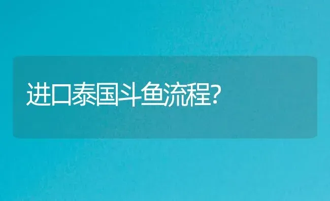 进口泰国斗鱼流程？ | 鱼类宠物饲养