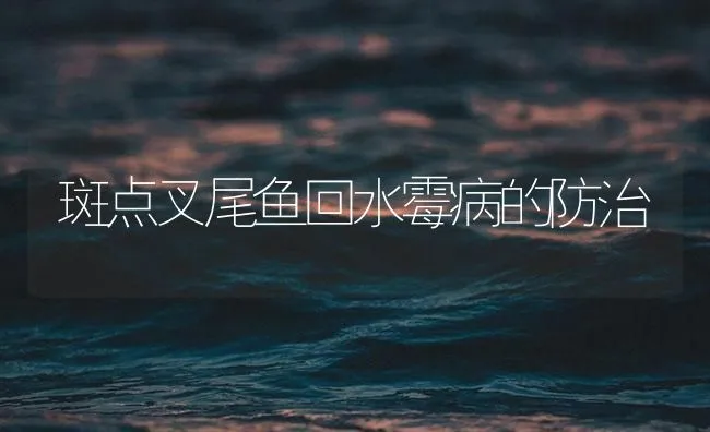 斑点叉尾鱼回水霉病的防治 | 海水养殖技术