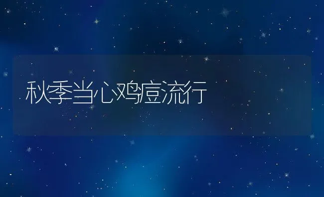 秋季当心鸡痘流行 | 动物养殖学堂