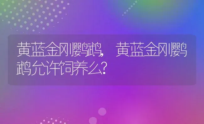 黄蓝金刚鹦鹉,黄蓝金刚鹦鹉允许饲养么? | 宠物百科知识