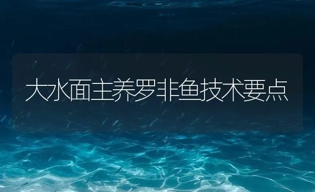 大水面主养罗非鱼技术要点 | 海水养殖技术