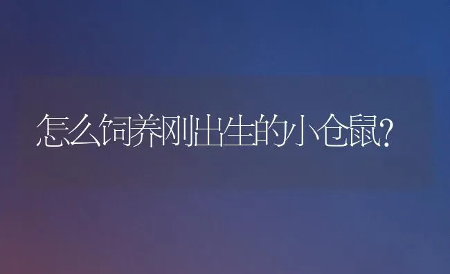 怎么饲养刚出生的小仓鼠？ | 动物养殖问答