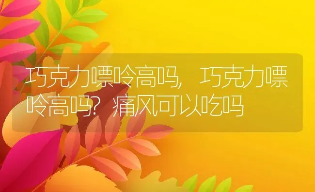 巧克力嘌呤高吗,巧克力嘌呤高吗?痛风可以吃吗 | 宠物百科知识