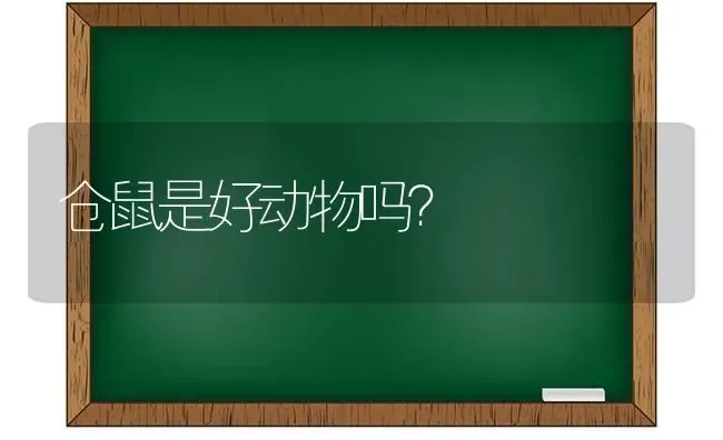 狗的形状和外形？ | 动物养殖问答