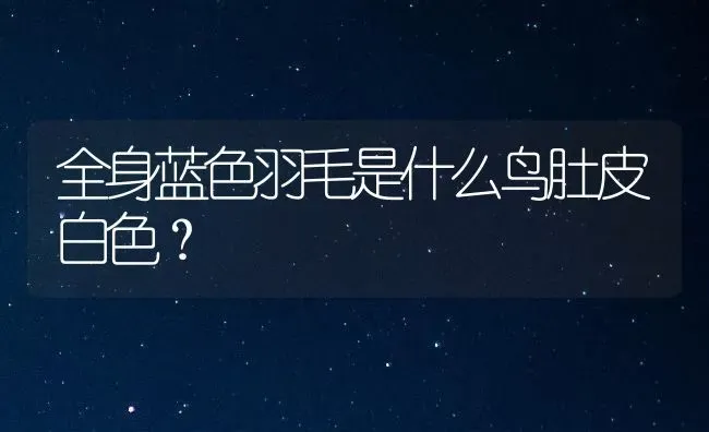 全身蓝色羽毛是什么鸟肚皮白色？ | 动物养殖问答